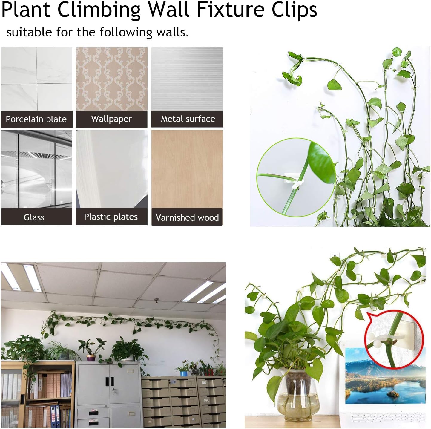 Practical Climbing Plant Wall Clips – Plant Holders for Wall Decoration and Vertical Gardening