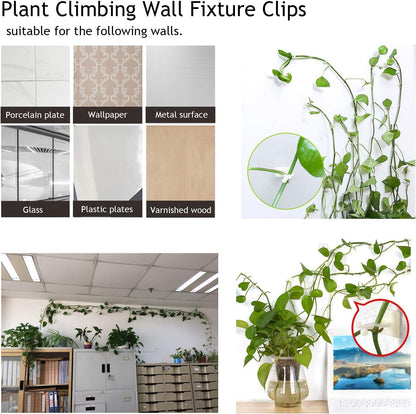 Practical Climbing Plant Wall Clips – Plant Holders for Wall Decoration and Vertical Gardening