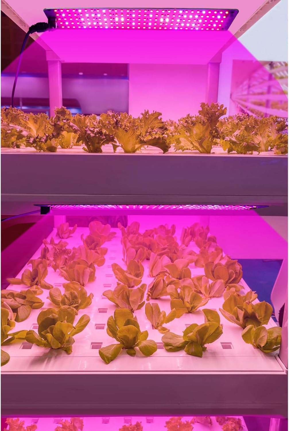 LED Quantum Plant Light Panel for Optimal Growth and Color Intensity – Adjustable Light Mode for Individual Plant Care