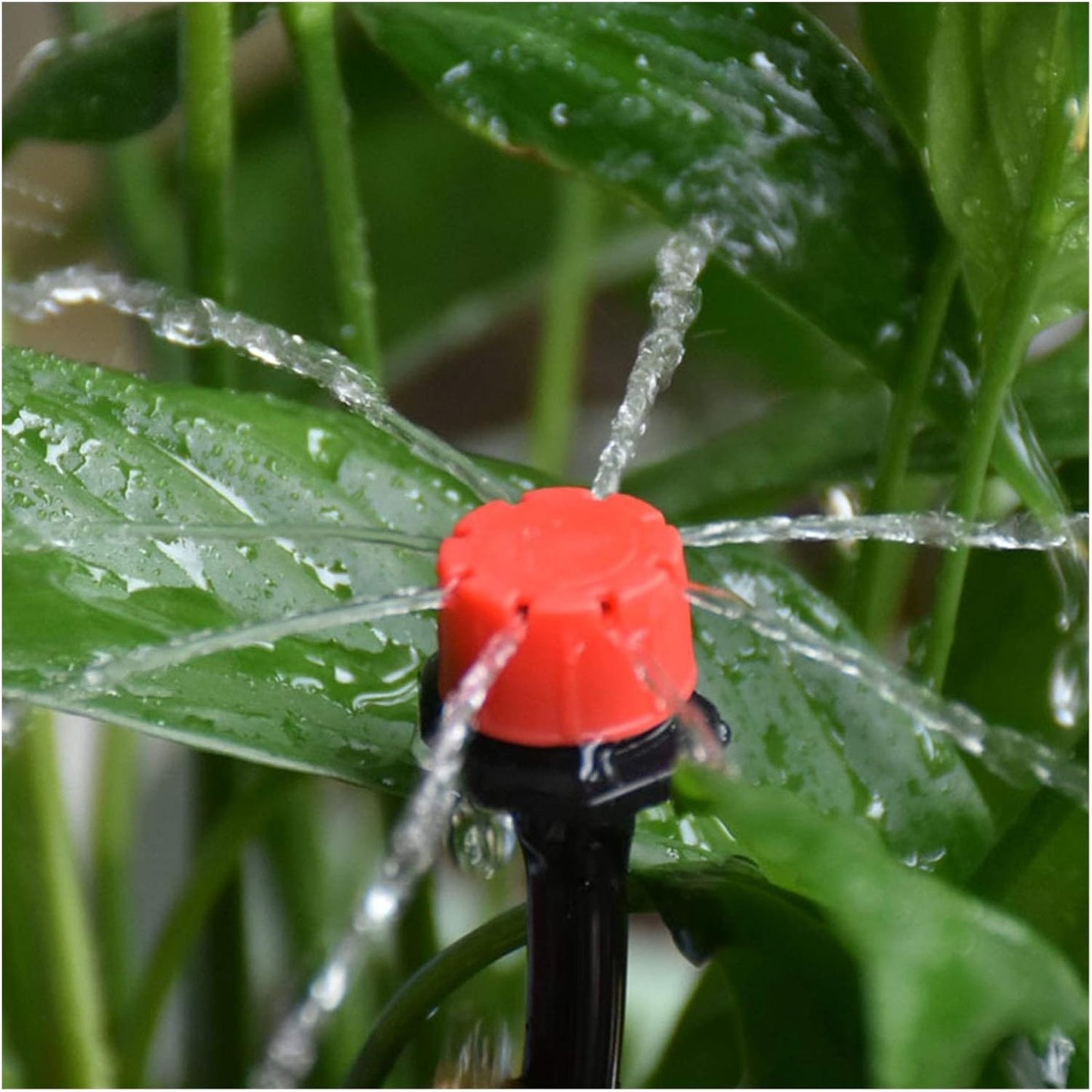 Automatic drip irrigation system for plants – complete set for efficient garden and balcony watering