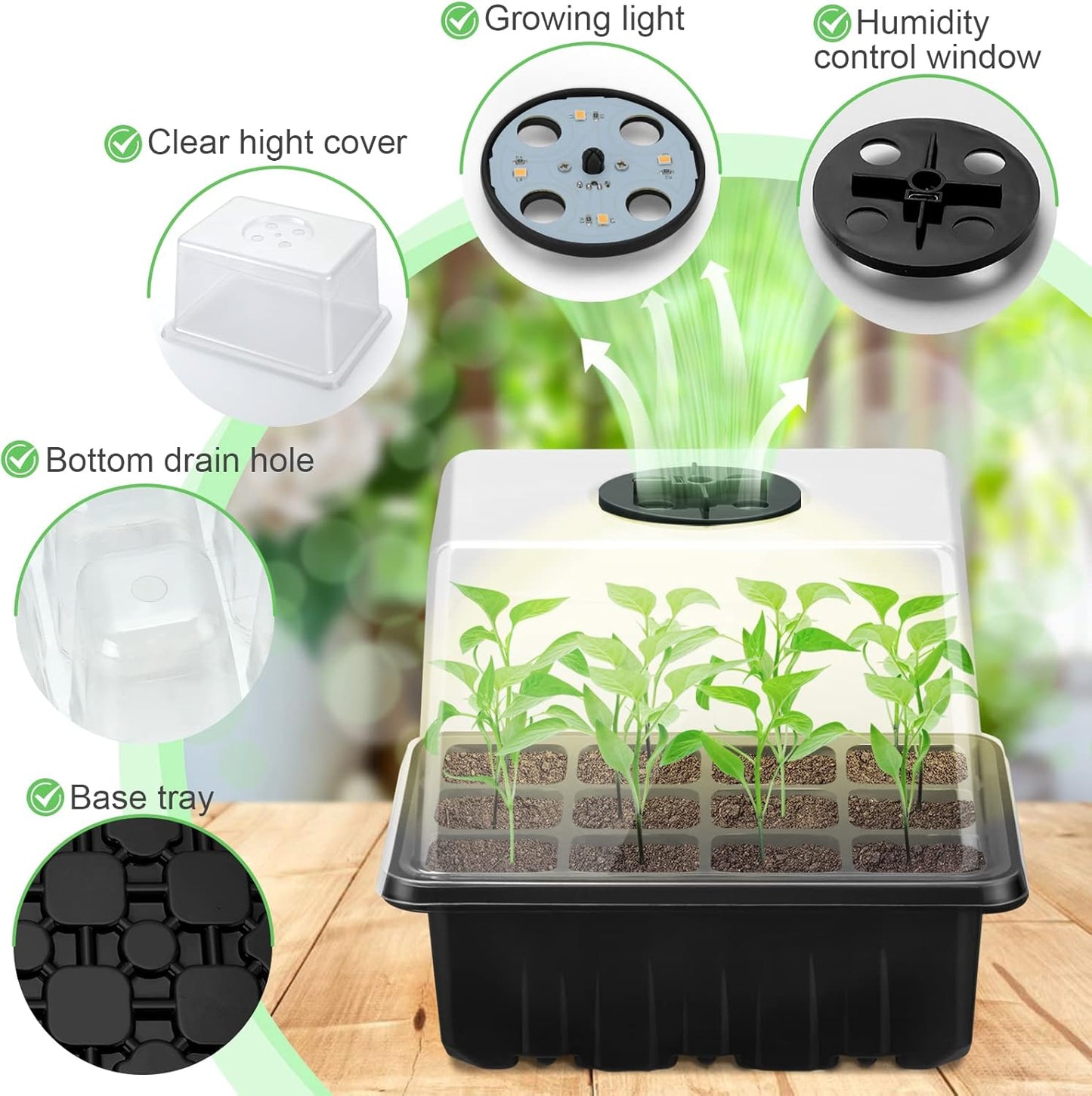 Complete Seed Starter Kit with LED Light – Perfect for Successful Plant Growth and Germination