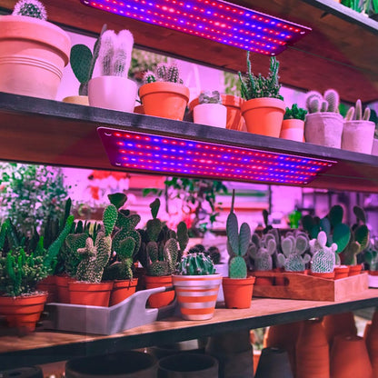 LED Quantum Plant Light Panel for Optimal Growth and Color Intensity – Adjustable Light Mode for Individual Plant Care