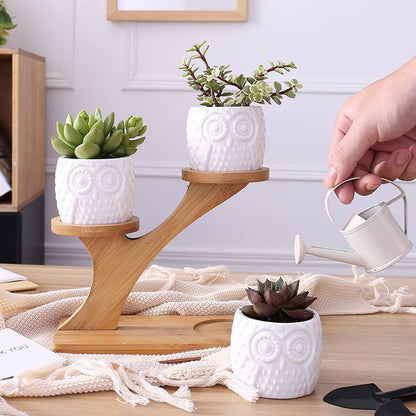 Decorative wooden owl plant stand – planter for succulents and indoor plants