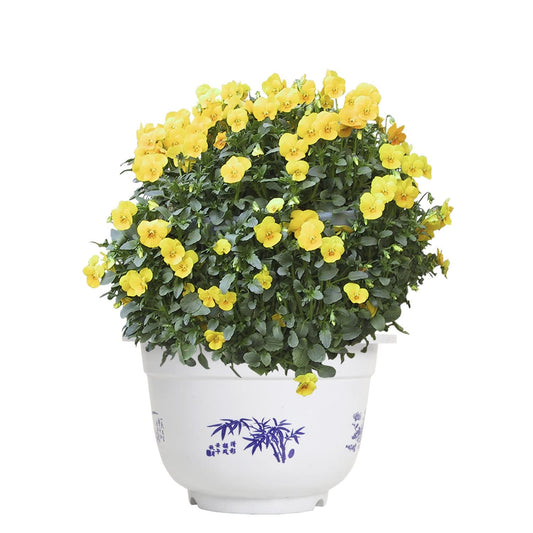 Elegant Plastic Flower Pot with Bamboo Design – Ideal for Garden and Balcony Plants