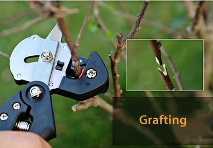 Precision Grafting Shears for Garden – Ideal for Grafting and Plant Propagation