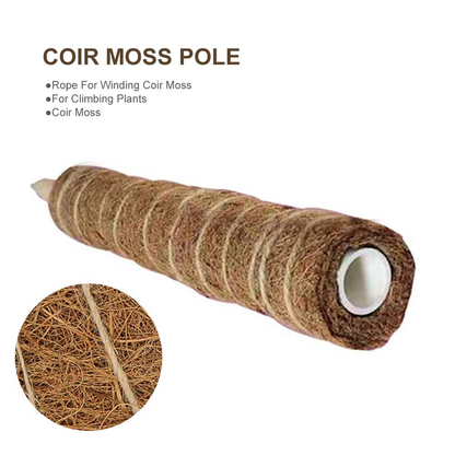 Coconut Moss Support Pole for Climbing Plants – Natural Support for Indoor and Garden Plants