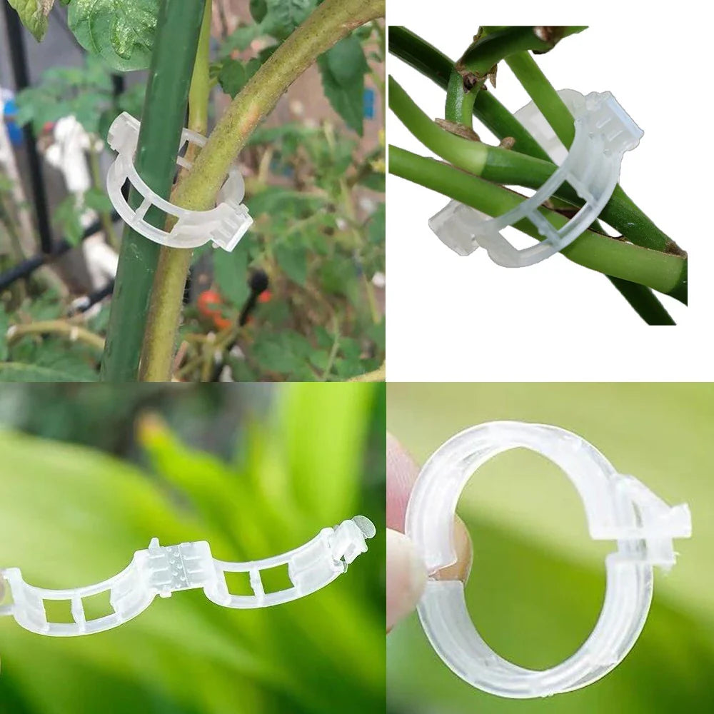 Flexible Plant Support Clip for Climbing Plants – Holder for Stems and Vines