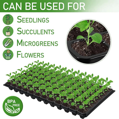 Rectangular Seedling Tray – Plant Tray for Efficient Germination and Growth of Seedlings