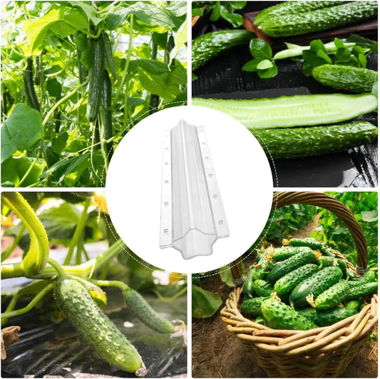 Star-Shaped Vegetable Mold for Cucumbers – Creative Shaping Mold for Fruits and Vegetables in the Garden