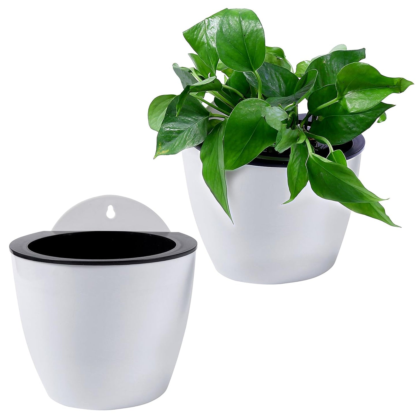 Self-Watering Hanging Planter – Modern Flower Pot for Wall Mounting for Efficient Plant Care