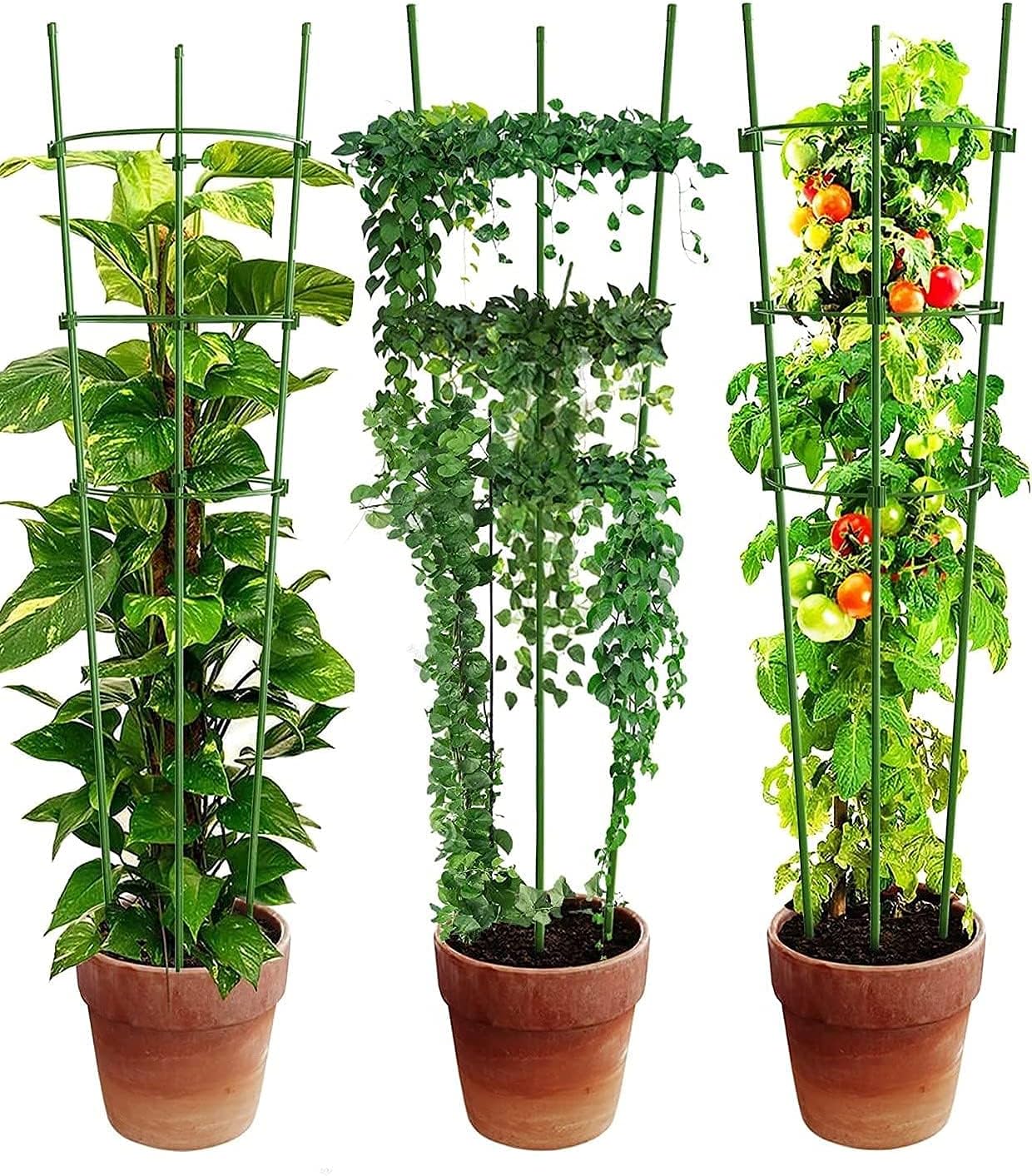 Stable Climbing Frame for Plants – Sturdy Support Ring for Climbing Plants and Vines in the Garden