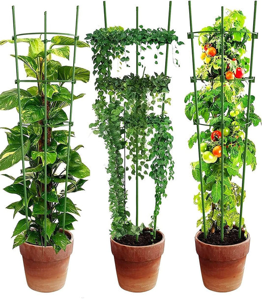 Stable Climbing Frame for Plants – Sturdy Support Ring for Climbing Plants and Vines in the Garden