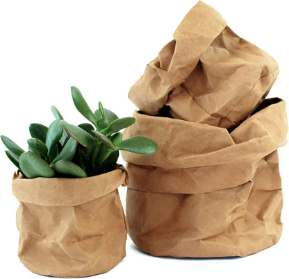 Stylish Paper Plant Pots – Modern Decorative Vases for Plants and Floral Arrangements