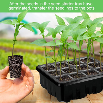 Complete Seed Starter Kit with LED Light – Perfect for Successful Plant Growth and Germination