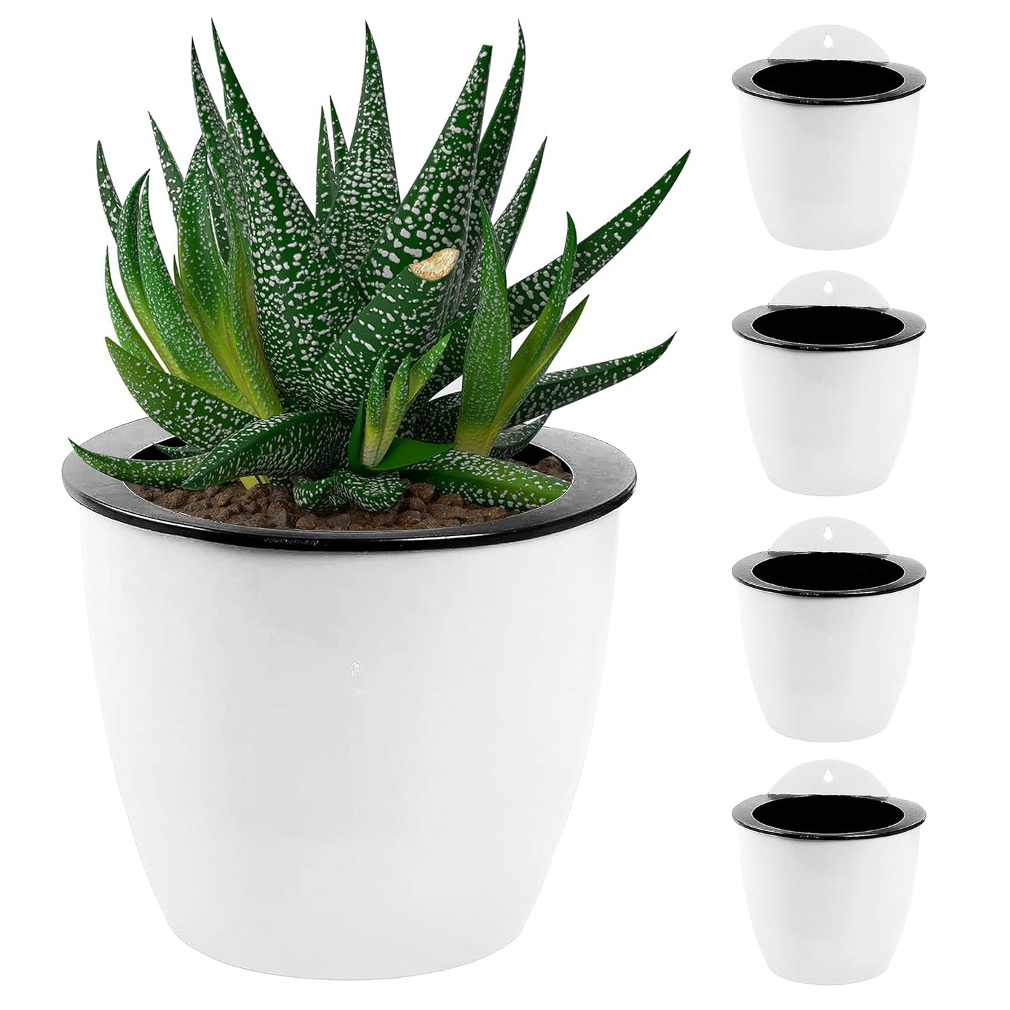 Self-Watering Hanging Planter – Modern Flower Pot for Wall Mounting for Efficient Plant Care