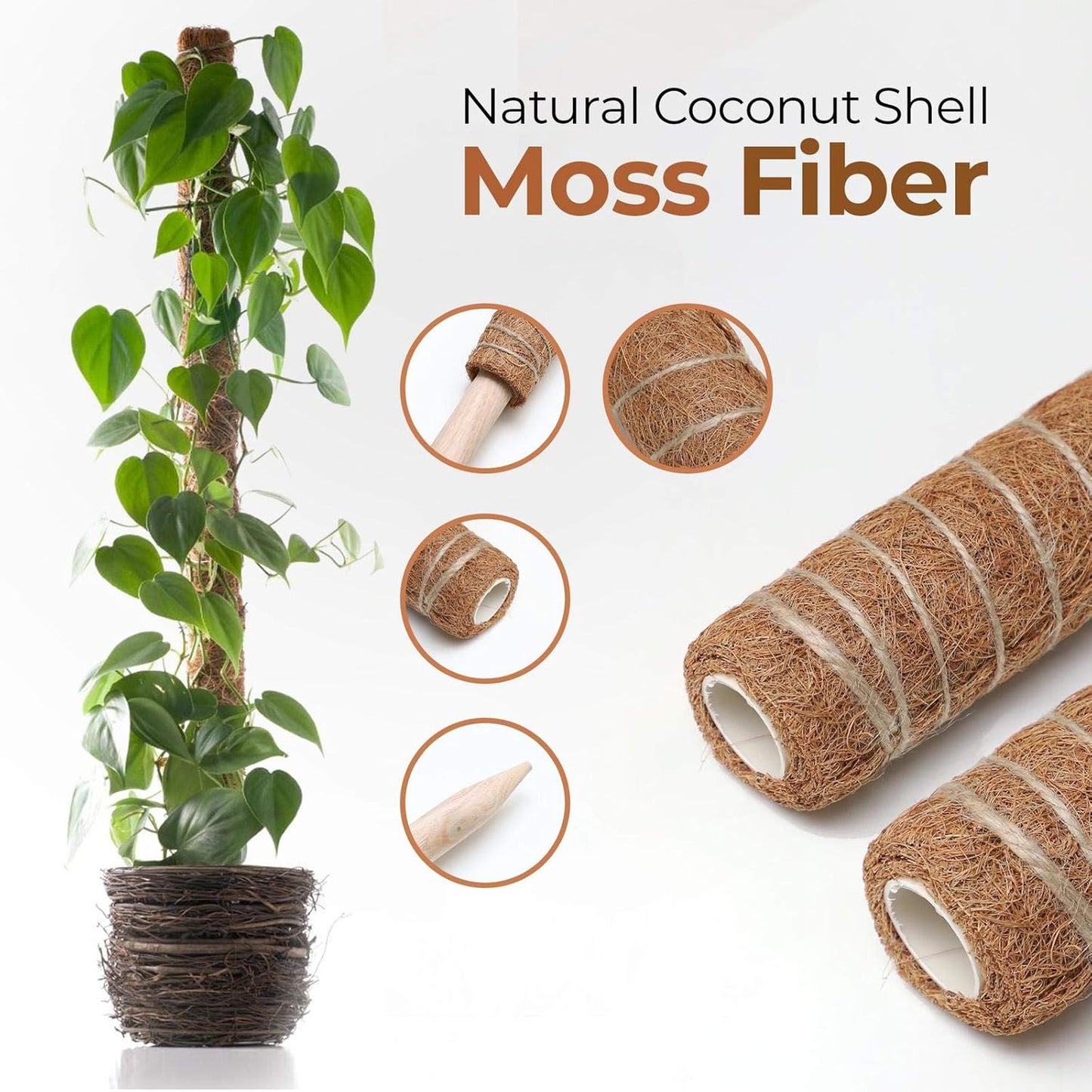 Coconut Moss Support Pole for Climbing Plants – Natural Support for Indoor and Garden Plants