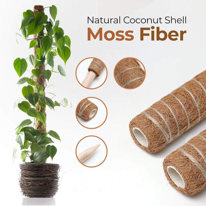 Coconut Moss Support Pole for Climbing Plants – Natural Support for Indoor and Garden Plants