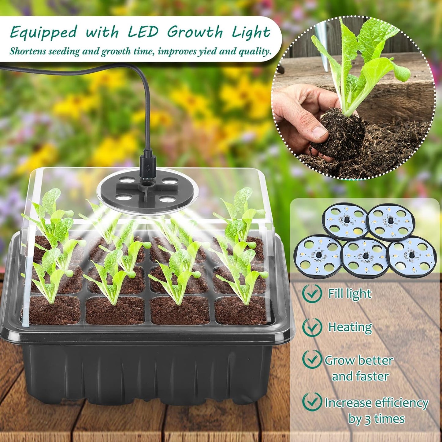 Complete Seed Starter Kit with LED Light – Perfect for Successful Plant Growth and Germination