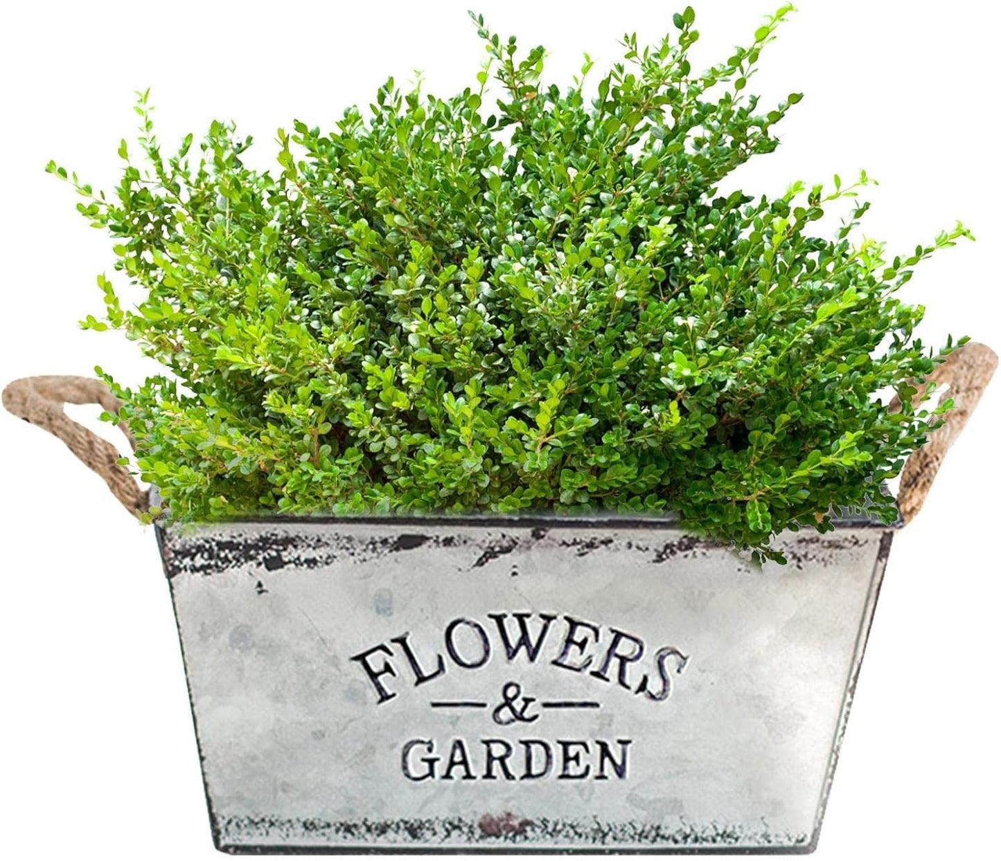 Decorative Metal Planter with Hemp Rope Handles – Durable Garden Container for Plants and Flowers
