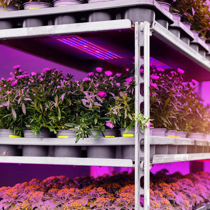 LED Quantum Plant Light Panel for Optimal Growth and Color Intensity – Adjustable Light Mode for Individual Plant Care