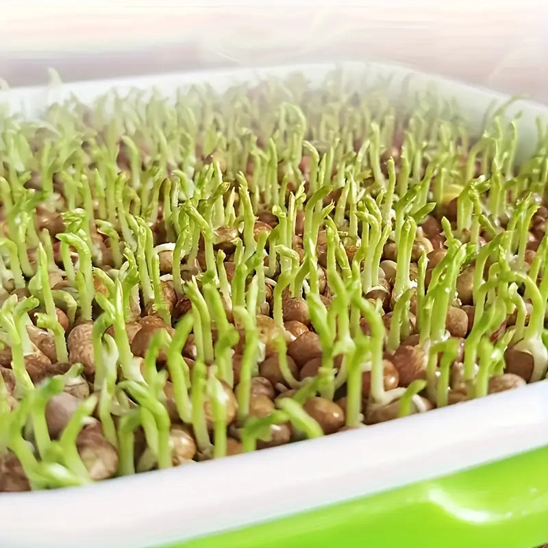 Double-Layer Seed Germination Trays with Lid – Efficient Seed Starting Tray for Optimal Seed Germination