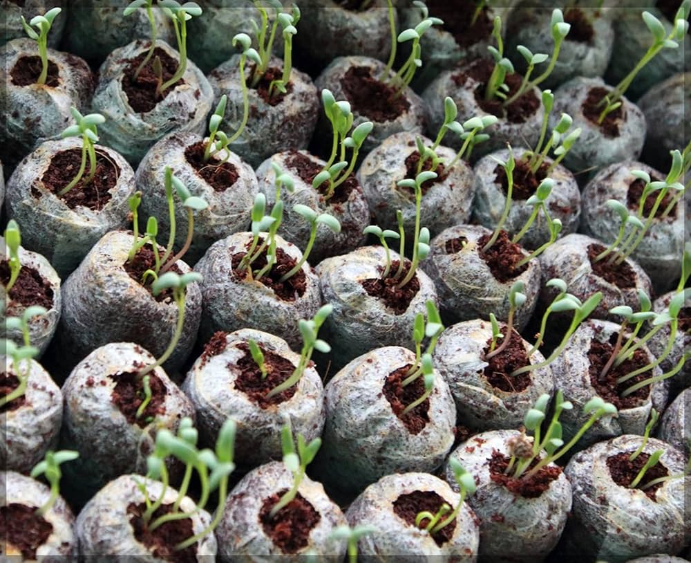 Coconut Fiber Peat Germination Pellets – Seed Planting Starter for Optimal Germination