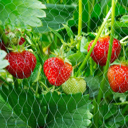 Protective Net for Garden Plants – Green Net for Protection Against Pests and Animals