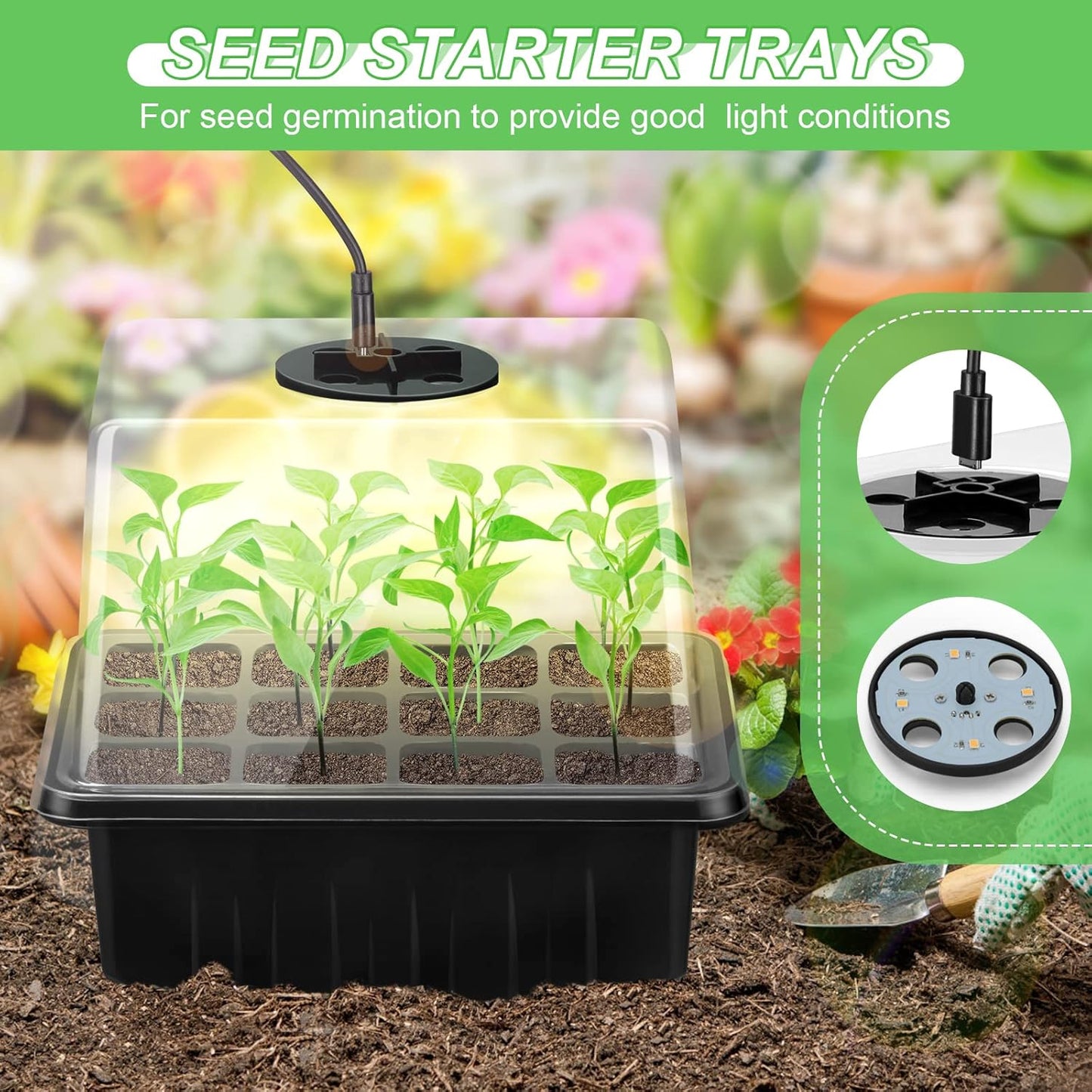 Complete Seed Starter Kit with LED Light – Perfect for Successful Plant Growth and Germination