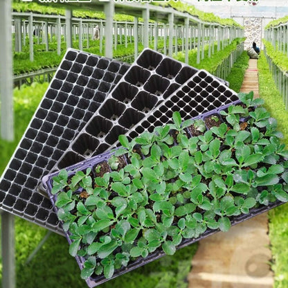 Rectangular Seedling Tray – Plant Tray for Efficient Germination and Growth of Seedlings