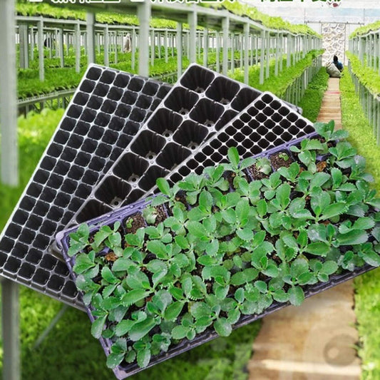 Rectangular Seedling Tray – Plant Tray for Efficient Germination and Growth of Seedlings