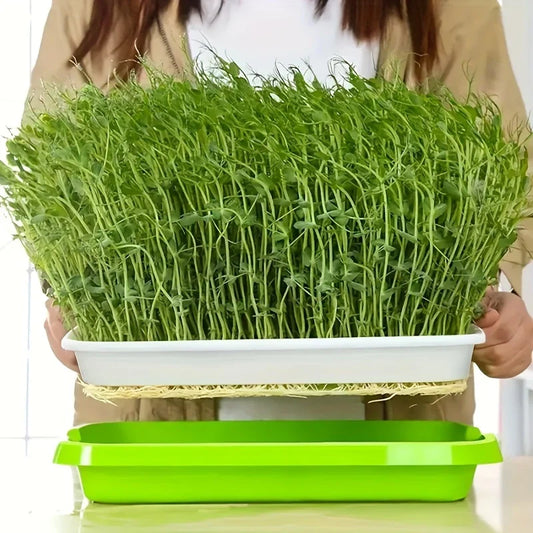 Double-Layer Seed Germination Trays with Lid – Efficient Seed Starting Tray for Optimal Seed Germination