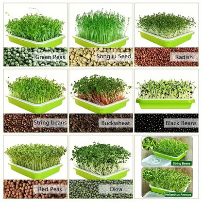 Double-Layer Seed Germination Trays with Lid – Efficient Seed Starting Tray for Optimal Seed Germination