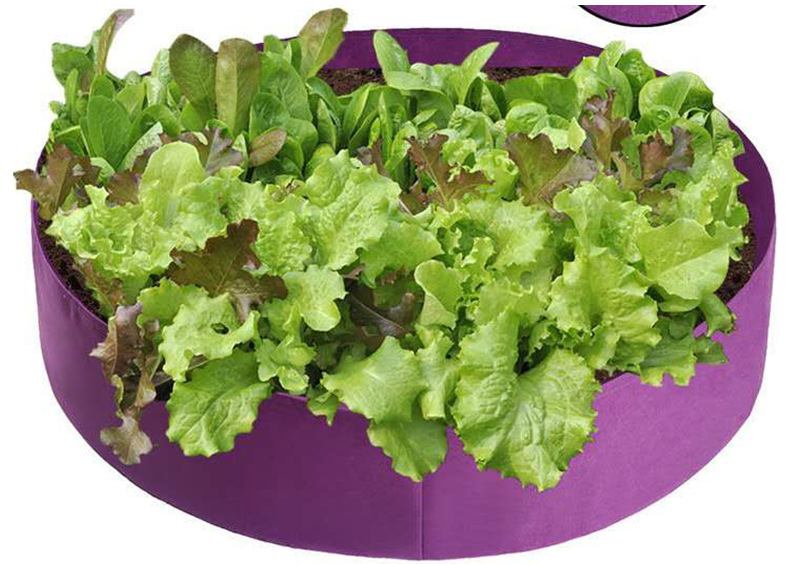 Round Plant Grow Bag – Versatile Garden Container for Easy Plant Growth and Optimal Harvests