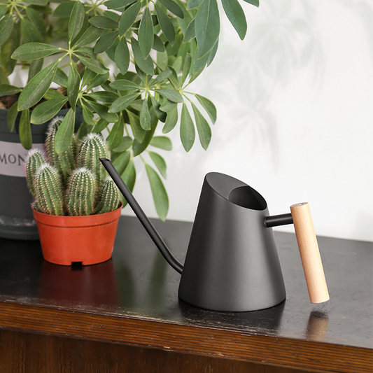 Modern Watering Can with Wooden Handle – Stylish and Practical Watering Can for Garden Plants and Flowers