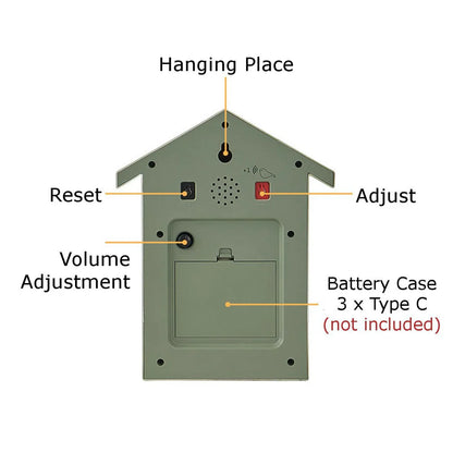 Modern Cuckoo Clock for Home