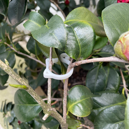 Cat-Shaped Plant Support Clip – Cute Plant Holder for Garden and Houseplants