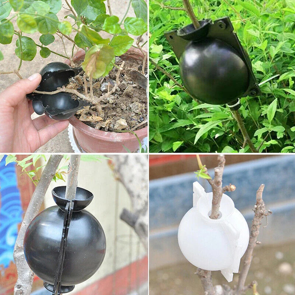 Plant Protection Balls for Roots – Protective Caps for Safe Transplanting and Healthy Growth