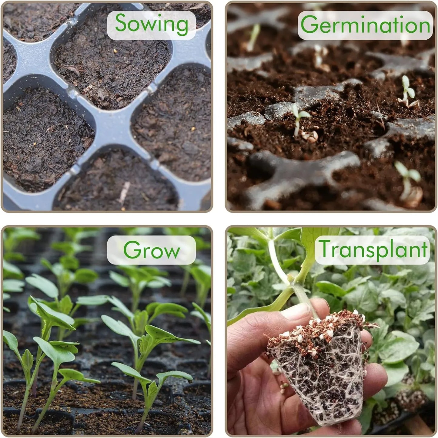 Rectangular Seedling Tray – Plant Tray for Efficient Germination and Growth of Seedlings