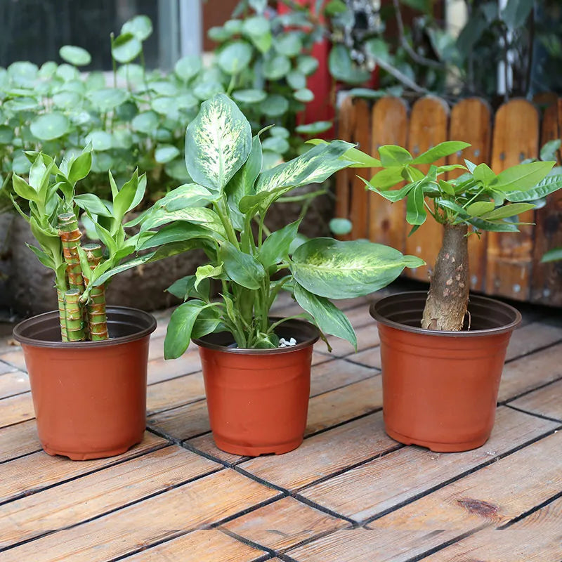 Durable Plastic Plant Pot – Sturdy Growing Pot for Plants and Flowers in the Garden