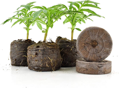 Coconut Fiber Peat Germination Pellets – Seed Planting Starter for Optimal Germination