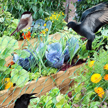 Protective Net for Garden Plants – Green Net for Protection Against Pests and Animals