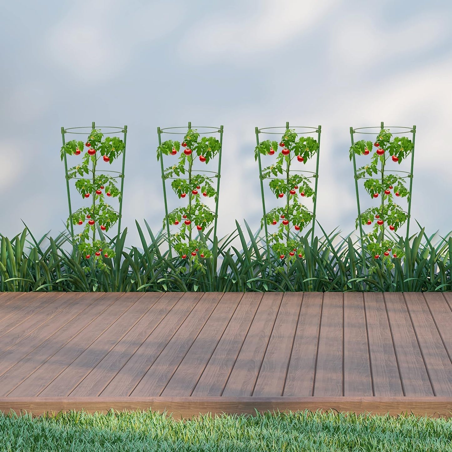 Stable Climbing Frame for Plants – Sturdy Support Ring for Climbing Plants and Vines in the Garden