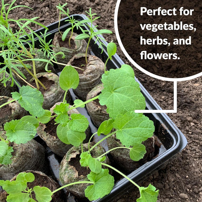 Coconut Fiber Peat Germination Pellets – Seed Planting Starter for Optimal Germination