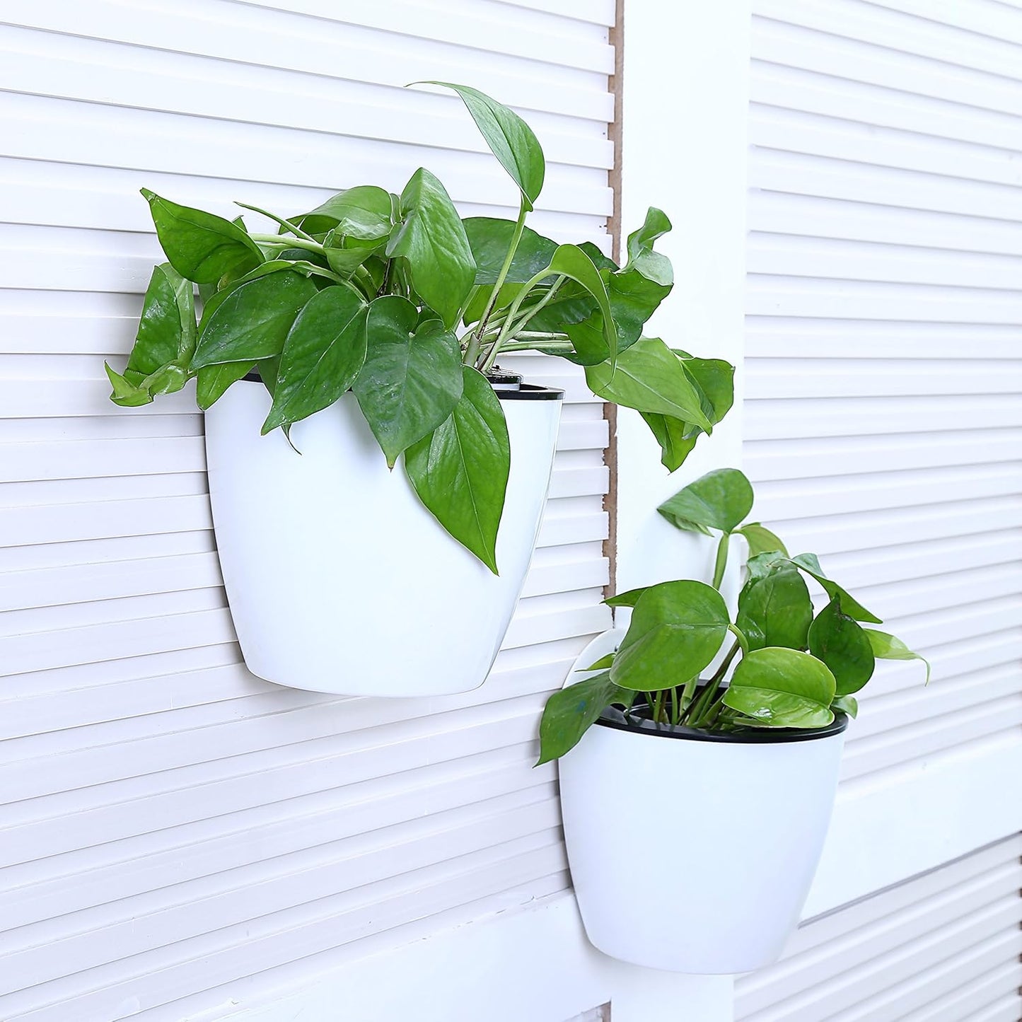 Self-Watering Hanging Planter – Modern Flower Pot for Wall Mounting for Efficient Plant Care