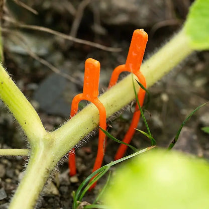 Plastic Support Clips for Garden Plants – Ideal for Optimal Plant Stability