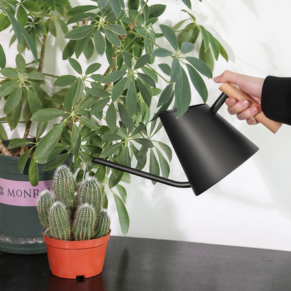 Modern Watering Can with Wooden Handle – Stylish and Practical Watering Can for Garden Plants and Flowers
