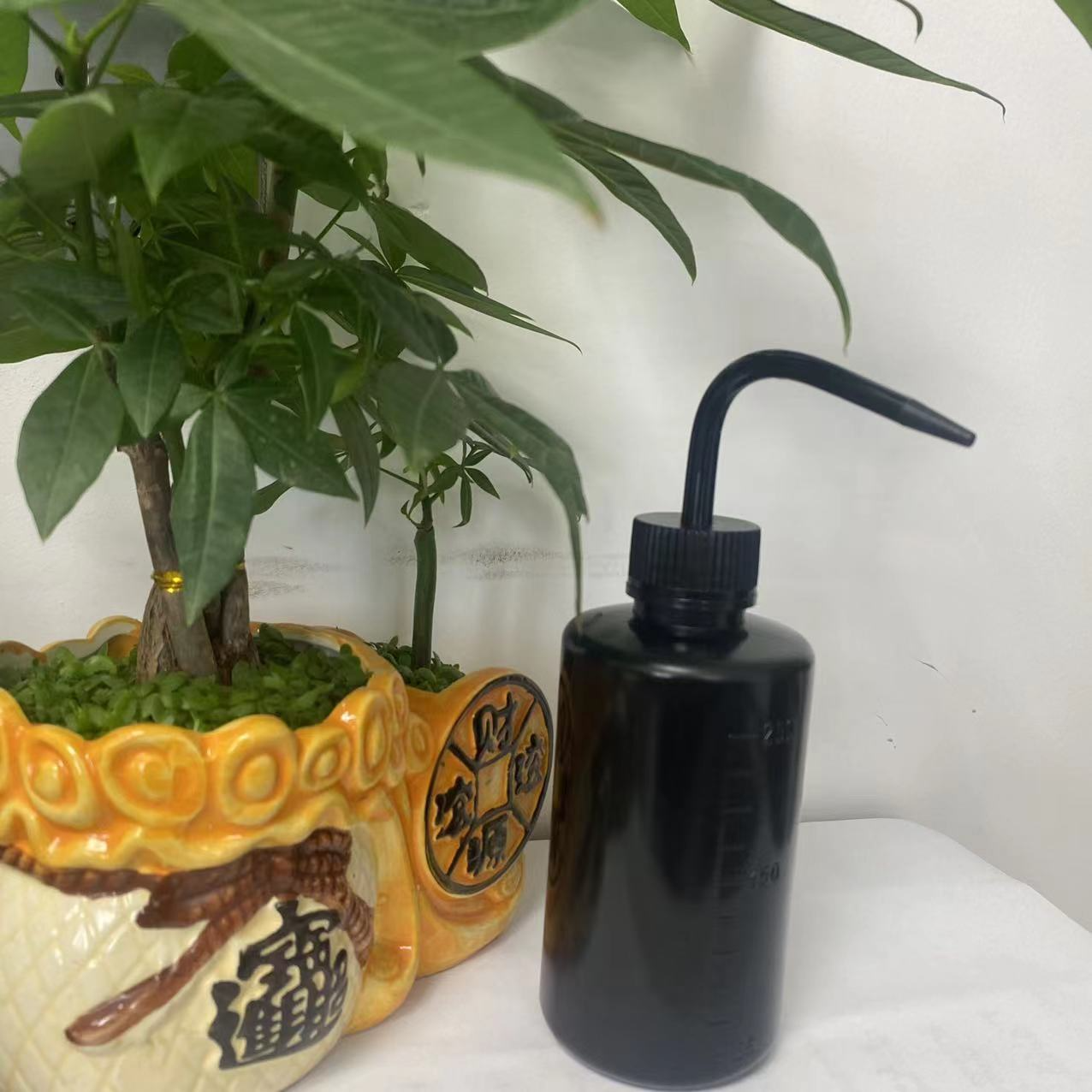 Spot 500ml Squeeze Watering Bottle – Precise Dosing and Watering for Plant Care and Gardening