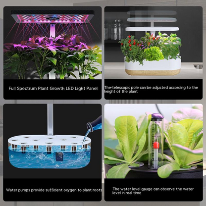Smart Indoor Hydroponic Growing System – Soil-Free Plant Cultivation for Home and Apartment