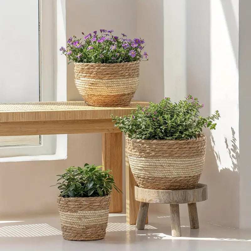 Decorative Seagrass Plant Baskets – 3-Piece Set of Handwoven Planters with Plastic Liner for Home and Garden