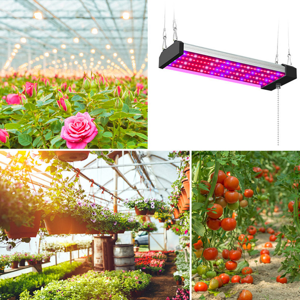 Full-Spectrum LED Plant Grow Light for Optimal Growth – With Pull Switch for Flexibility